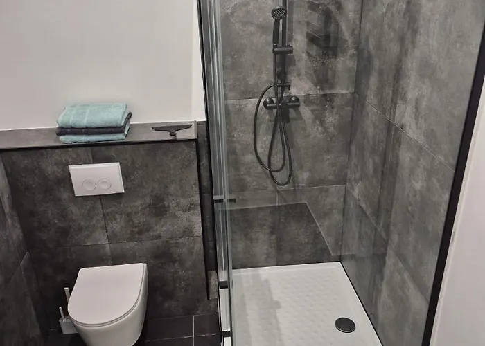 Appartement Schwarzwald Loft 2