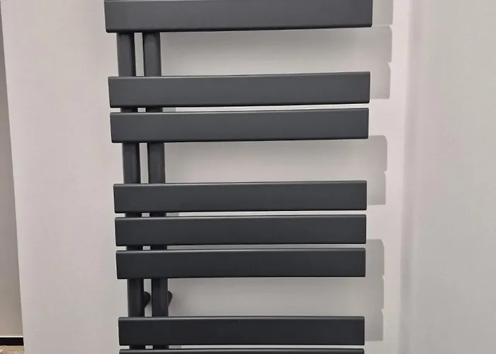 Appartement Schwarzwald Loft 2 *